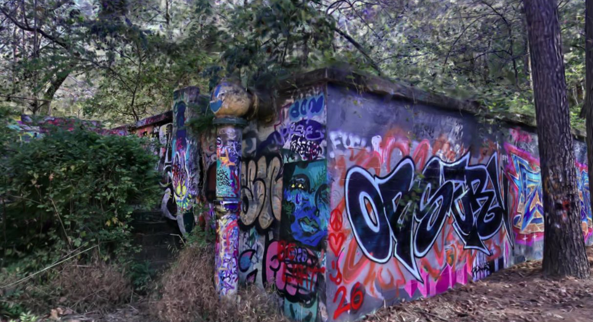 Mason Mill Park